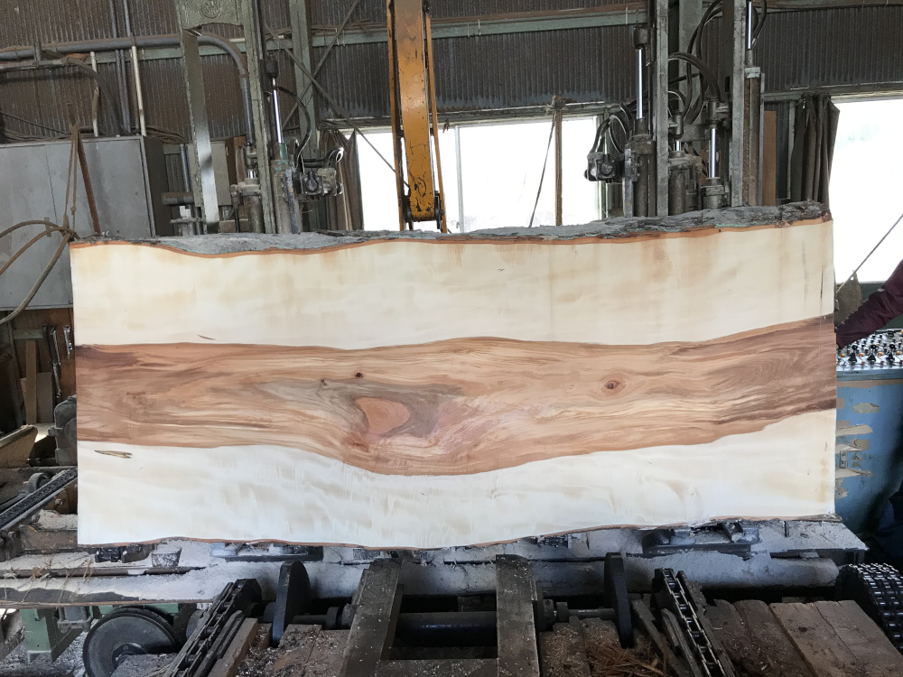 ヒダコレで乾燥中の一枚板『赤美の栃の四番板』